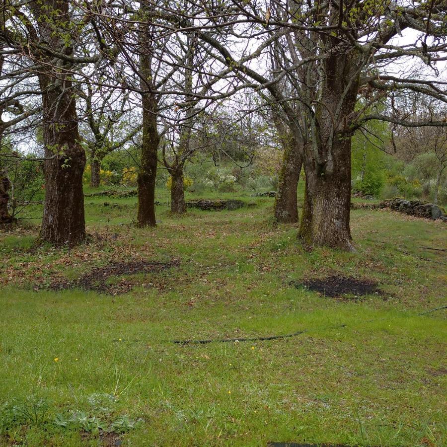 Casa Rural Leonor San Ciprian  Luaran gambar